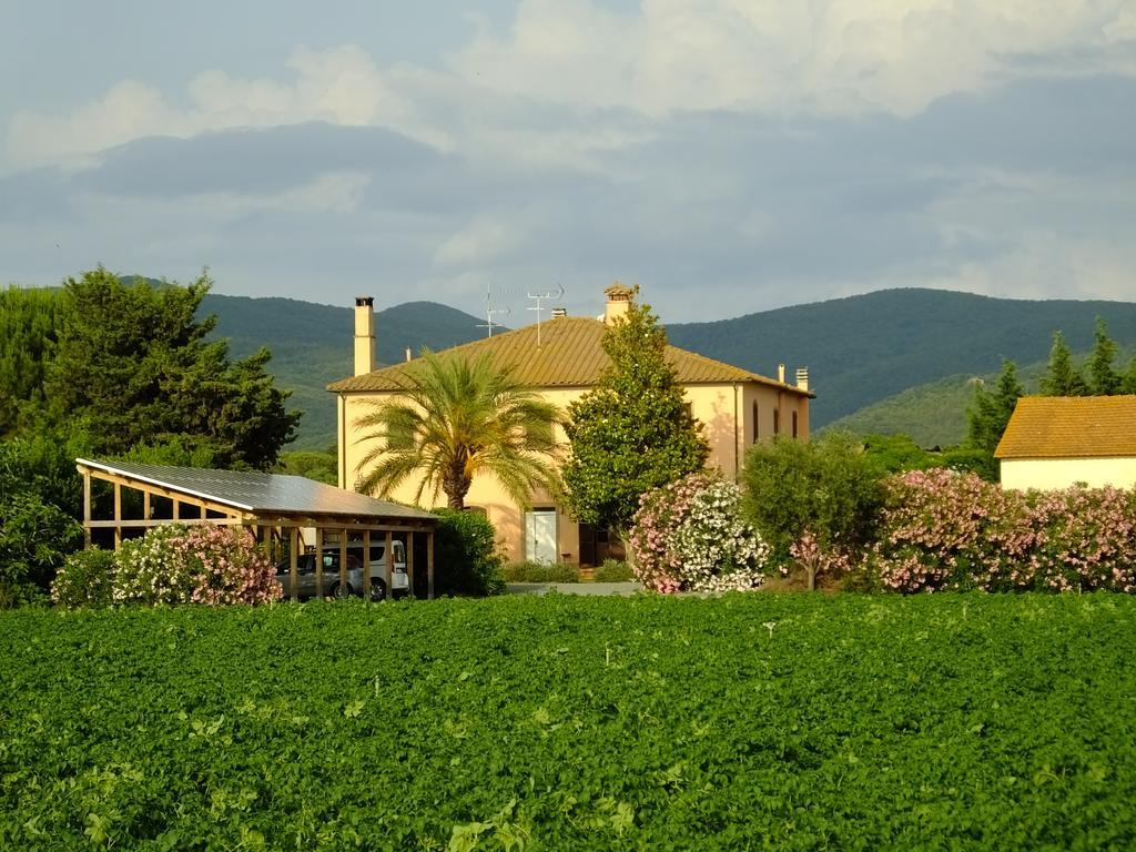 Agriturismo Sant'Uberto Vila Bolgheri Exterior foto