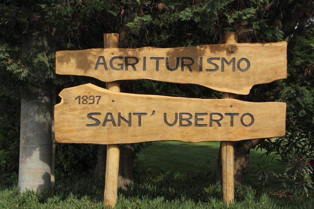 Agriturismo Sant'Uberto Vila Bolgheri Exterior foto